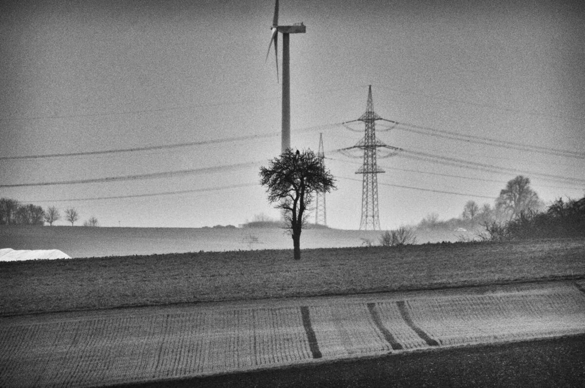 Baum vor Windrad und Hochspannung