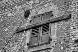 Fenster