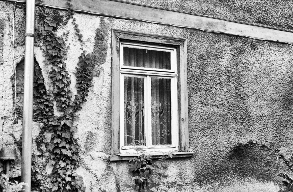 Fenster in der Wetterau