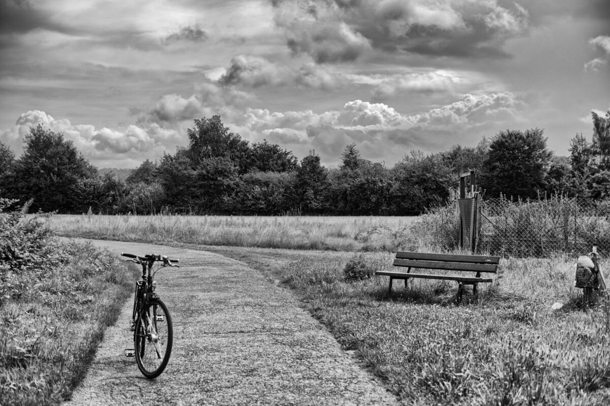 Feld zw. Langen und Egelsbach