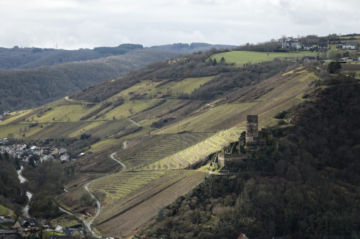 Ruine Burg Fürstenberg