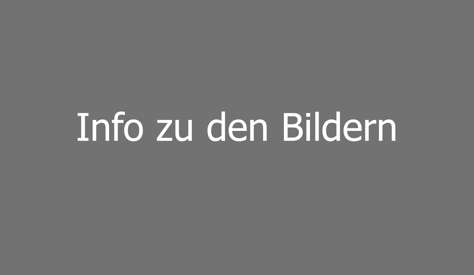 Infos zu den Bildern