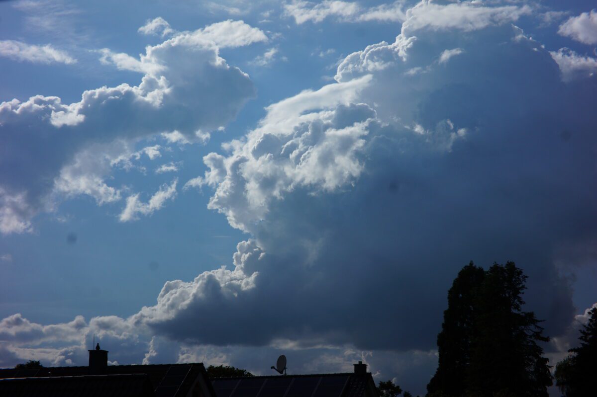 Vorschau Bild Wolkenfilm